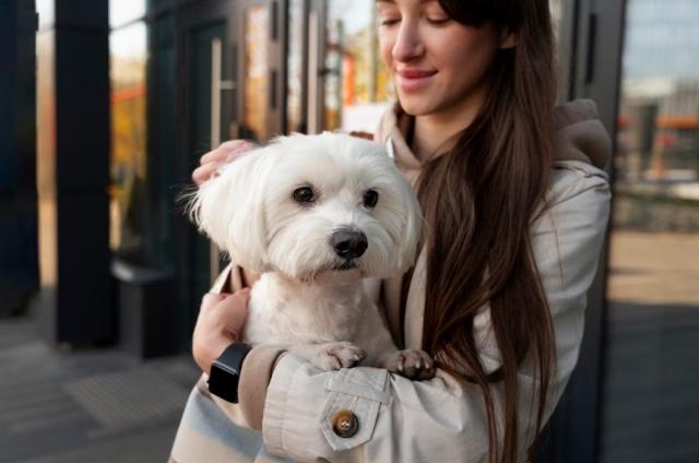 Bonding Beyond Puppy Love: Strengthening Your Connection with Your Growing Pup